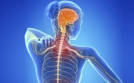 Multiple Sclerosis Symptoms