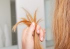 Split Ends Hair