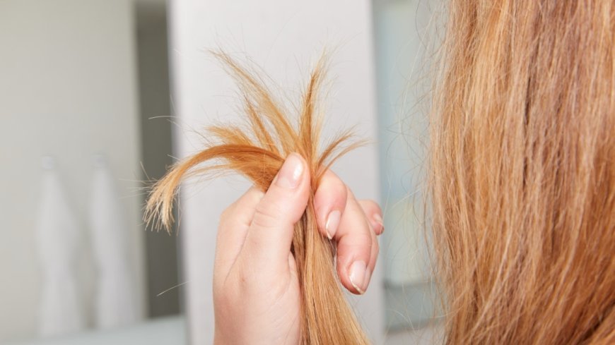 Split Ends Hair